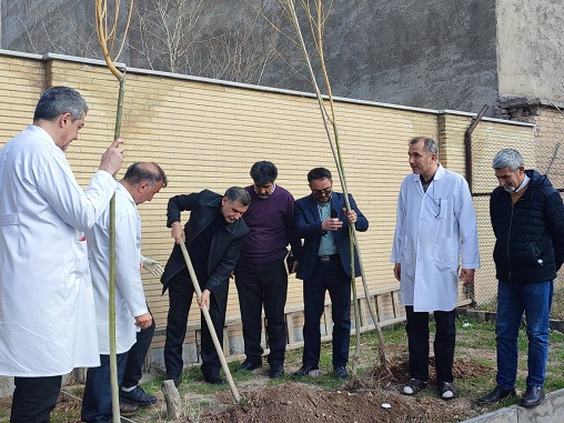 روز درختکاری 1