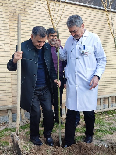 روز درختکاری 3