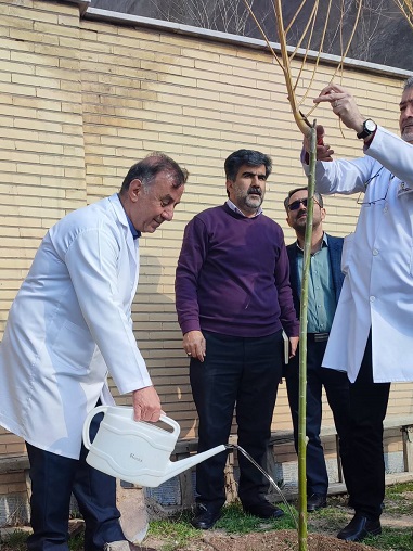 روز درختکاری 5