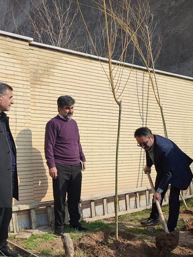 روز درختکاری 6