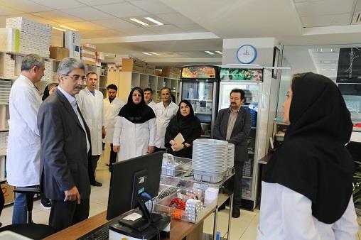 بازدید دکتر دقایقی و همکارانش 13